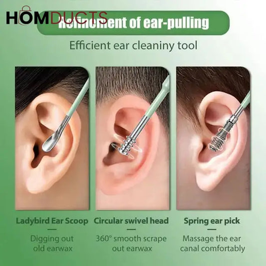 Stainless Steel Ear Pick Set (6pcs)