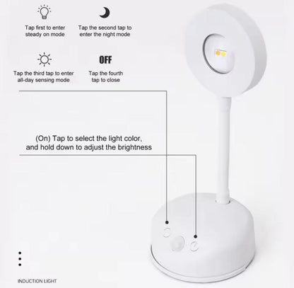 Luxury Modern Wall Reading Light with Remote Control Timer – 5/15/30 Minute Auto-Off LED Lamp