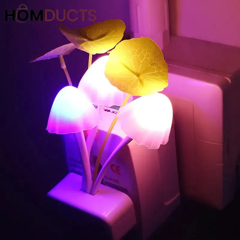 Night sensor light