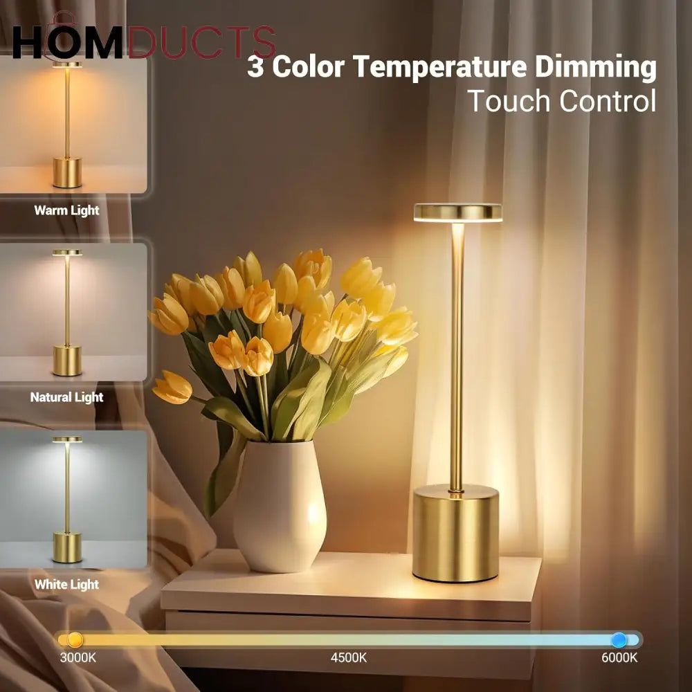 Rechargeable Led Modern Table Lamp